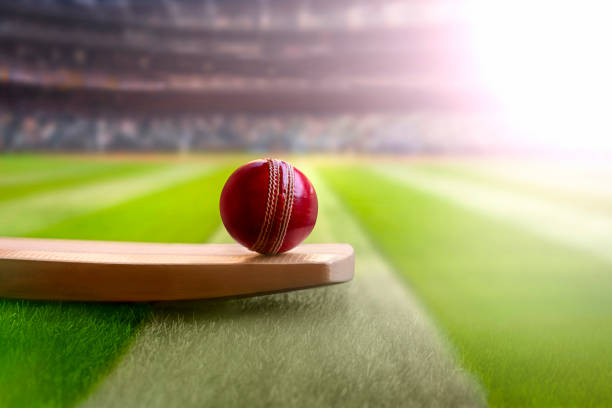 Financial Lessons from Cricket